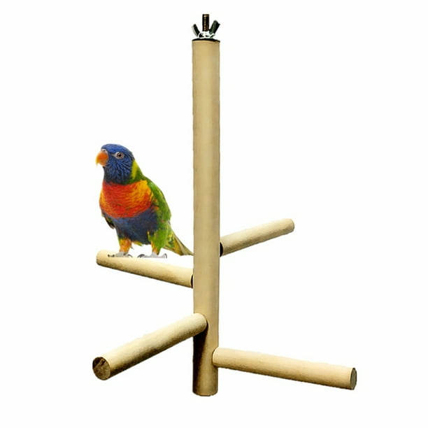 Parrot Bird Rotating Staircase Stand Play Fun Toys Gym Wooden Branch Funny